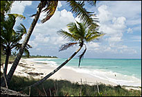 Bahamas MCSE Boot Camps