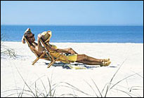 Sarasota MCSE Training