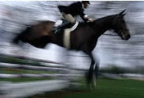 MCSE training in Lexington, Kentucky