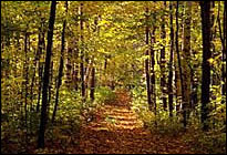 Vermont MCSE Training