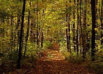 MCSE training in Montpelier, Vermont