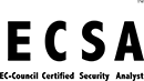 ECSA - Certified Security Analyst - Rhode Island