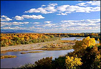 New Mexico MCDBA Certification