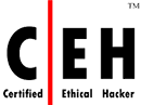 CEH - Certified Ethical Hacker - Mount Pleasant, South Carolina