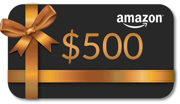 In Time for the Holidays - Amazon Gift Cards now included for most future courses! Limited time. 